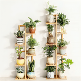 3/5/6 Tier Plant Stand